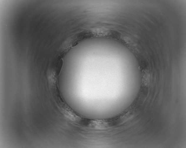 X0000071830713200606301319