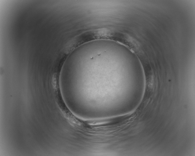 X0000071830715200606301319