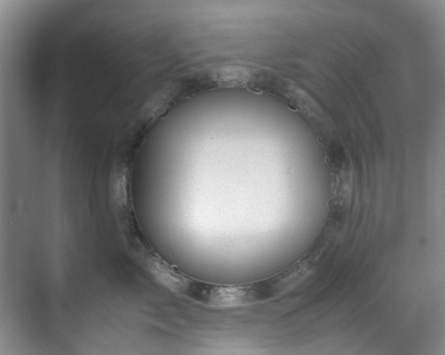 X0000071830717200606301319