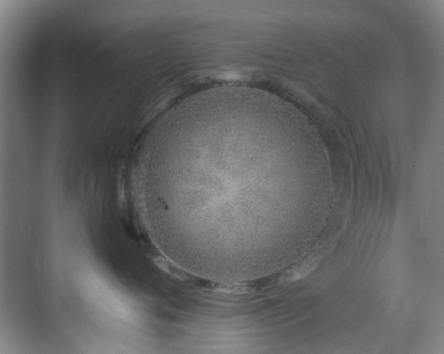 X0000071830720200606301319