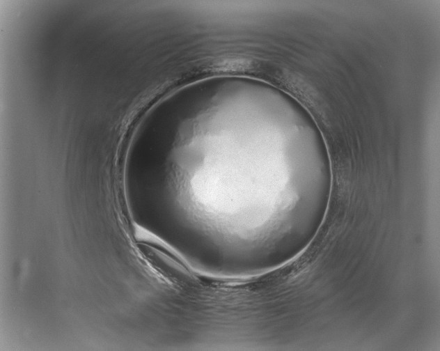 X0000071830721200606301318