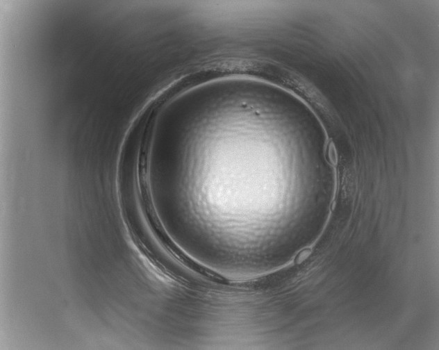 X0000071830722200606301318