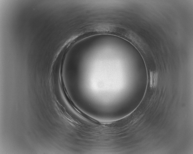 X0000071830723200606301318