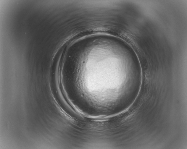 X0000071830725200606301318