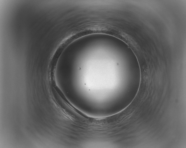 X0000071830727200606301318