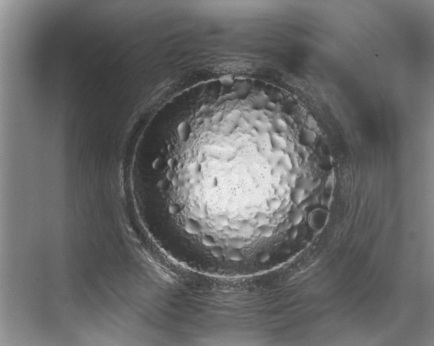 X0000071830729200606301318