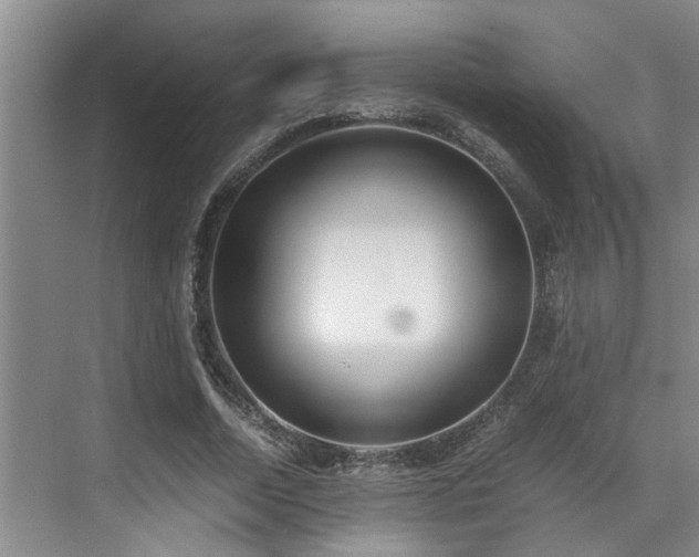 X0000071830730200606301318