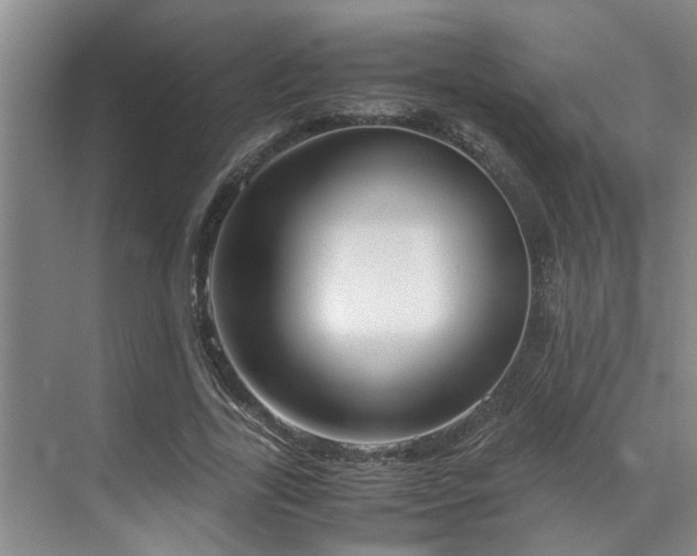 X0000071830731200606301318