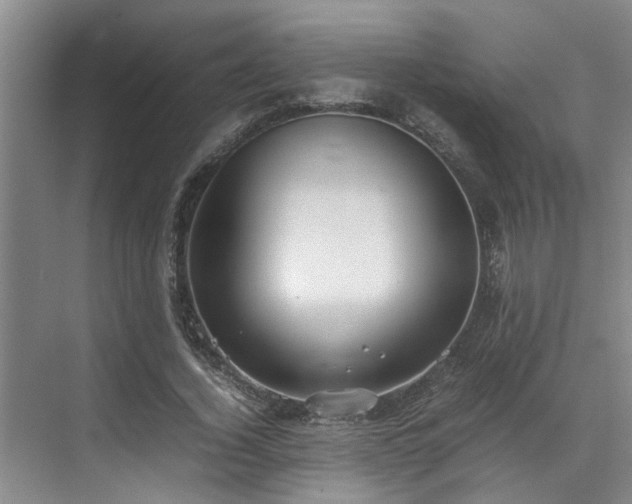 X0000071830732200606301318