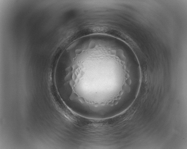 X0000071830733200606301318