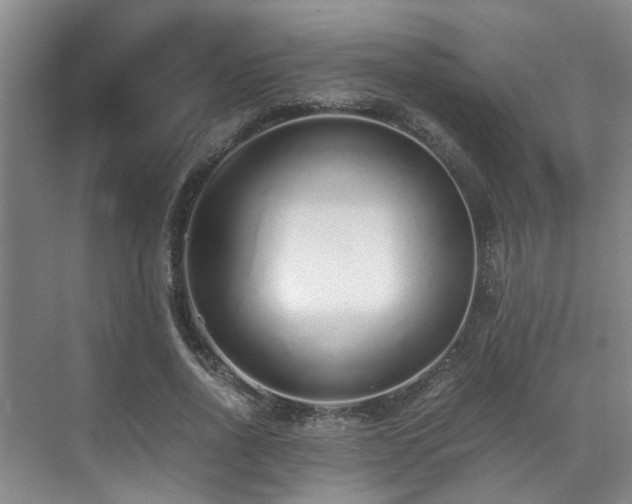 X0000071830734200606301318