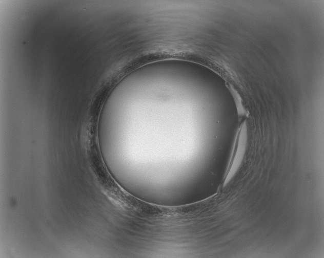 X0000071830736200606301318