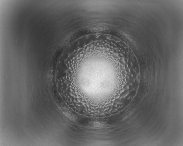 X0000071830737200606301318