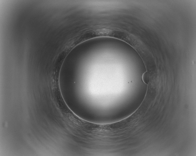 X0000071830743200606301318