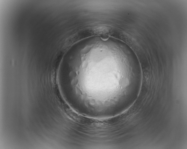 X0000071830745200606301318