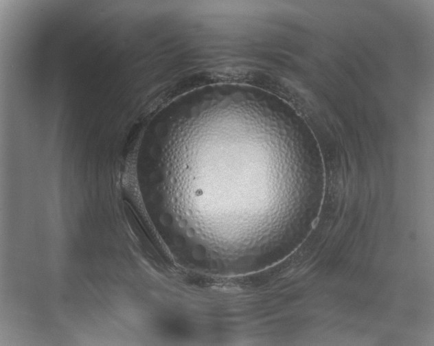 X0000071830749200606301318