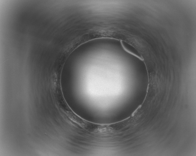 X0000071830752200606301318