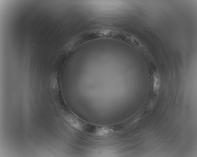 X0000071830754200606301318