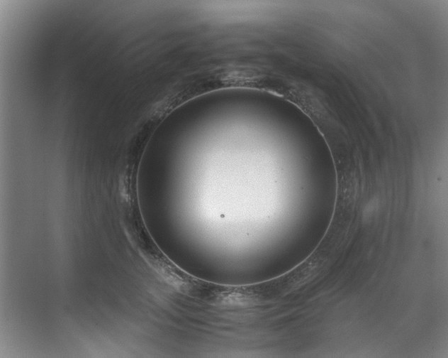 X0000071830755200606301318