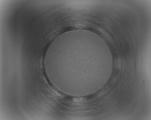 X0000071830757200606301318