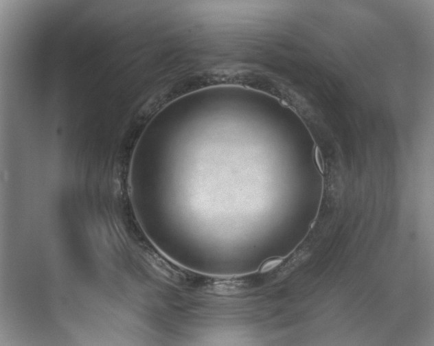 X0000071830758200606301318