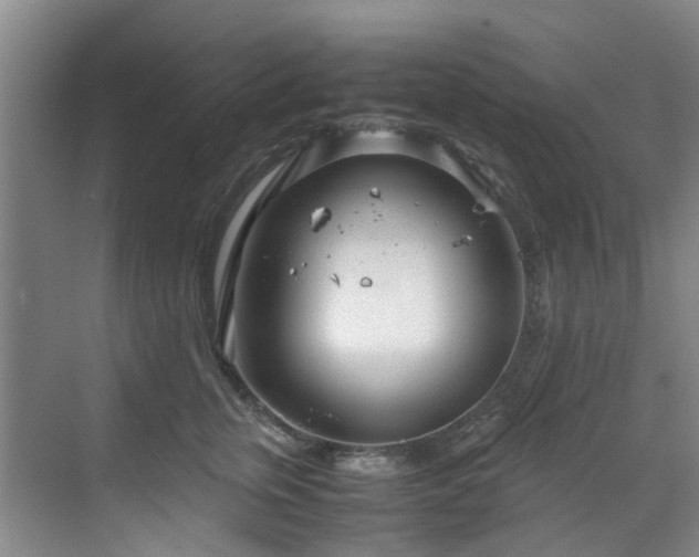 X0000071830759200606301318