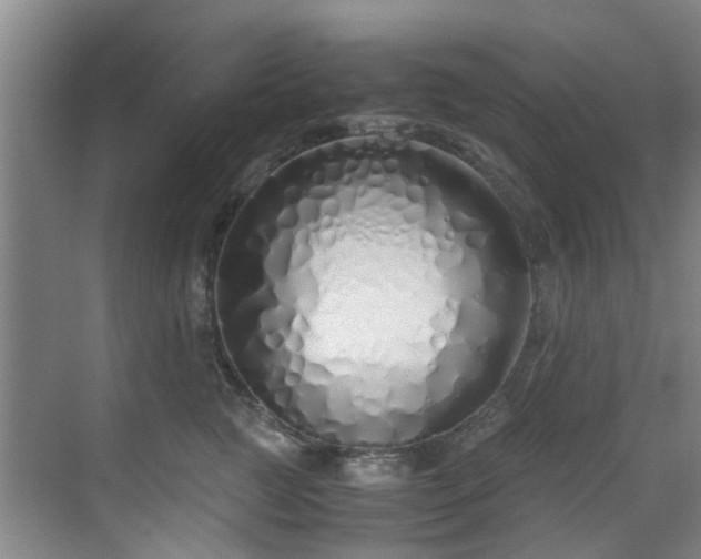 X0000071830761200606301318