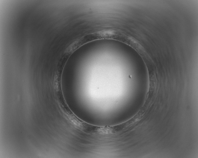 X0000071830762200606301318