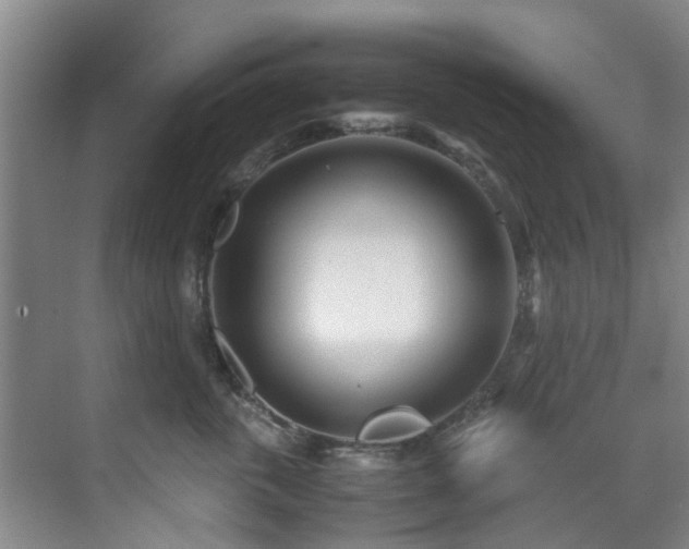 X0000071830763200606301318