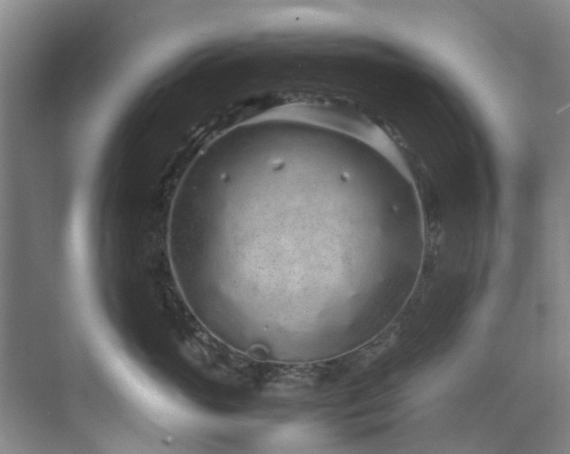 X0000071830765200606301318