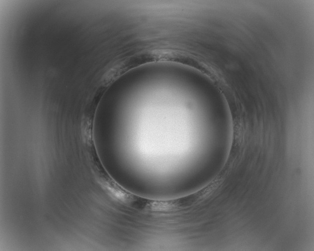 X0000071830766200606301318