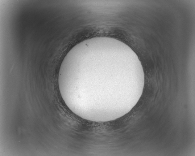 X0000071830769200606301318