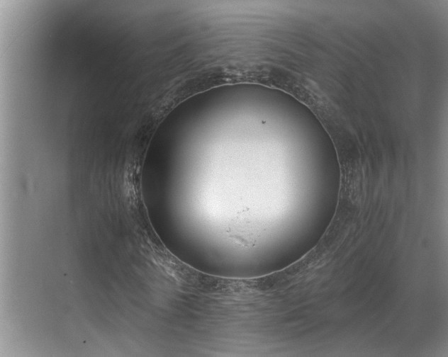 X0000071830770200606301318