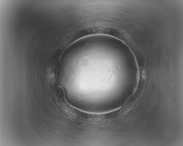 X0000071830771200606301318