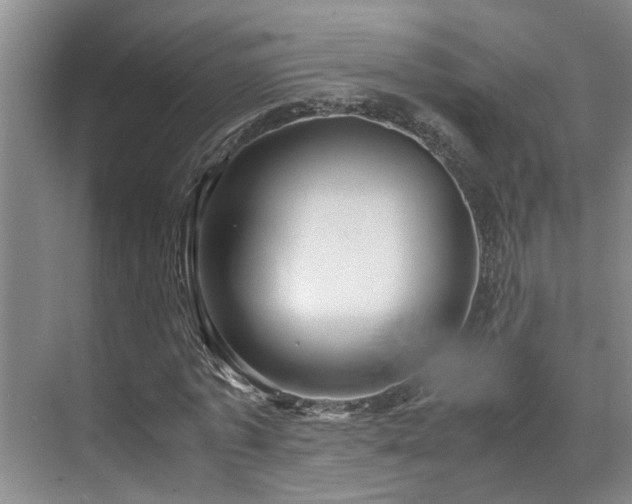 X0000071830773200606301318