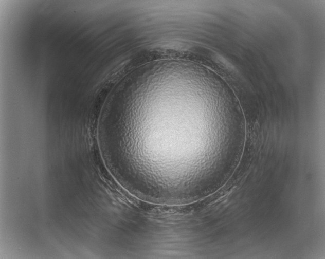 X0000071830774200606301318