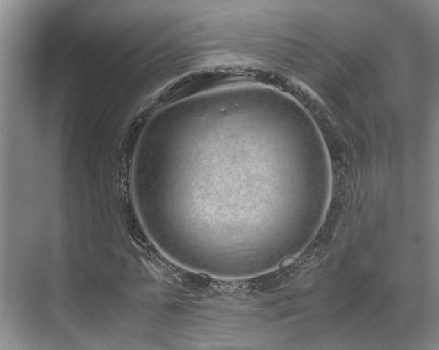 X0000071830775200606301318