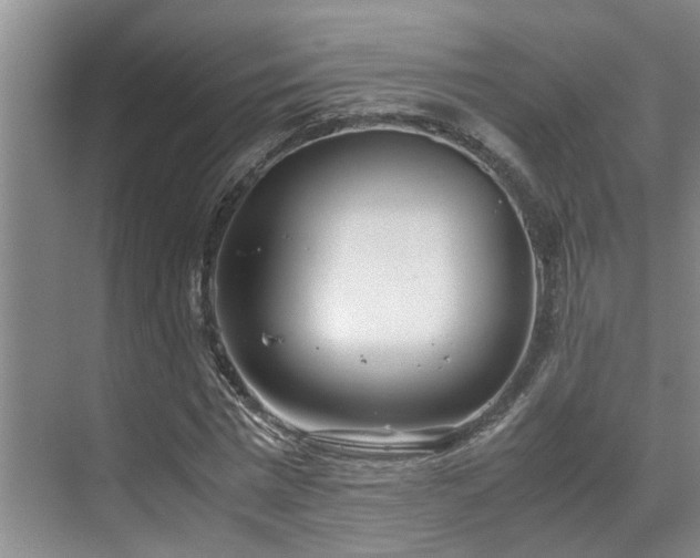 X0000071830777200606301318