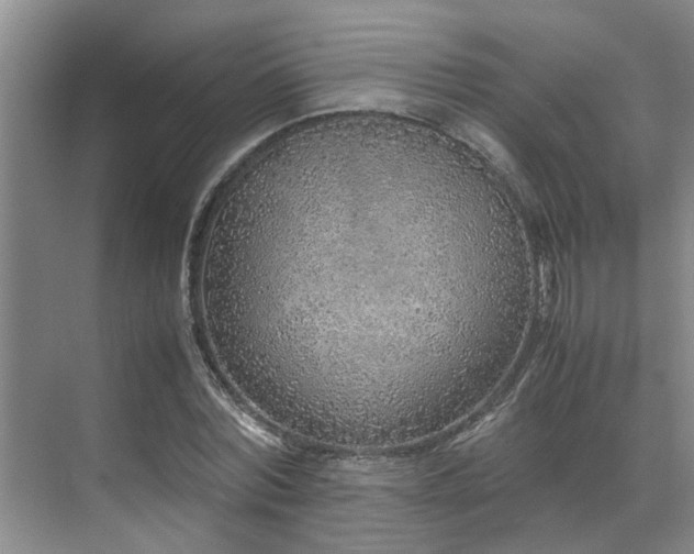 X0000071830780200606301318