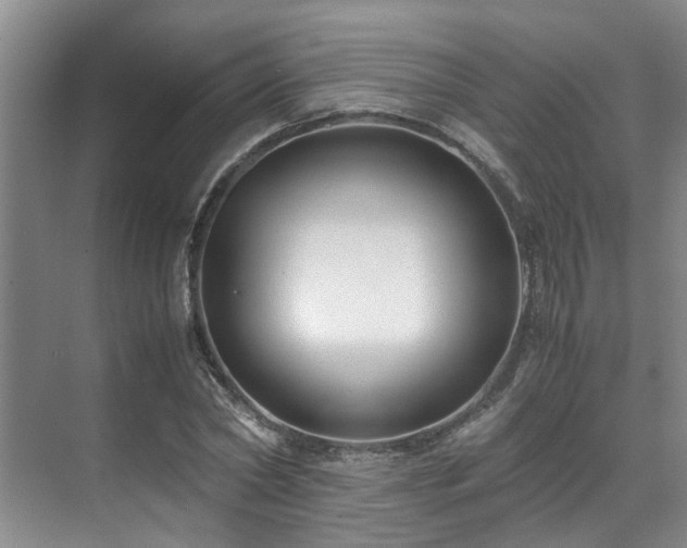 X0000071830782200606301317