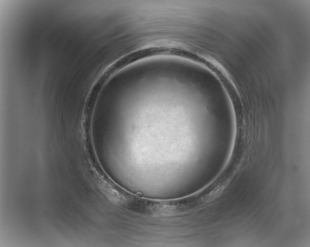 X0000071830783200606301317