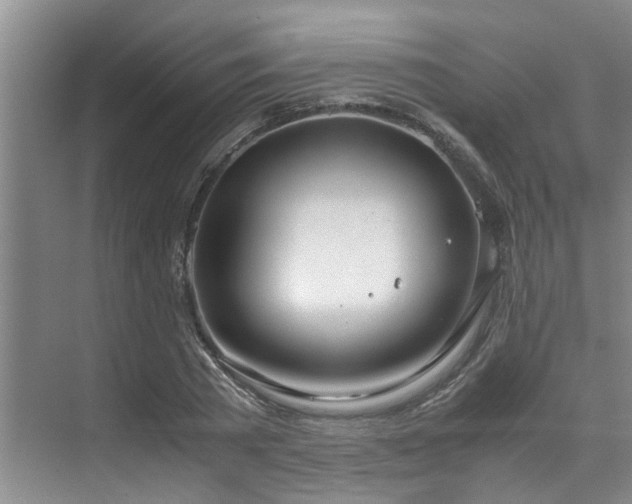 X0000071830785200606301317