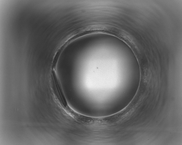 X0000071830786200606301317