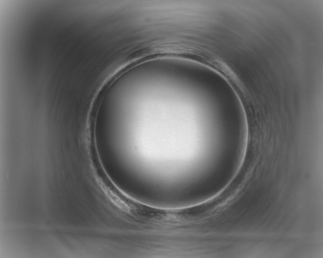 X0000071830787200606301317