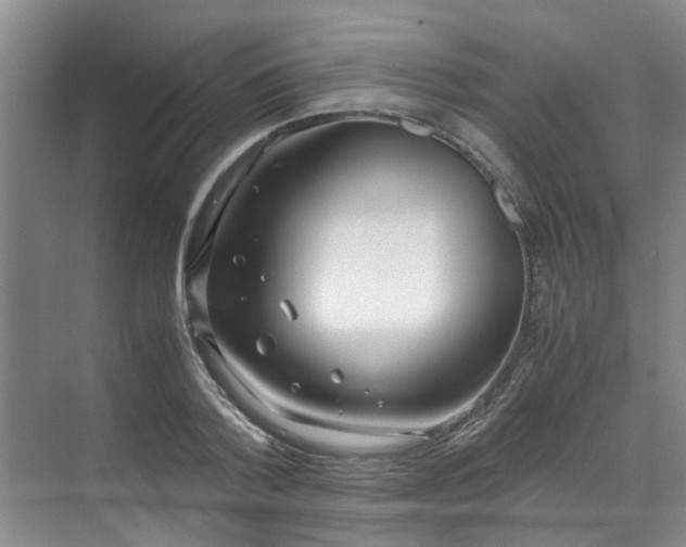 X0000071830788200606301317