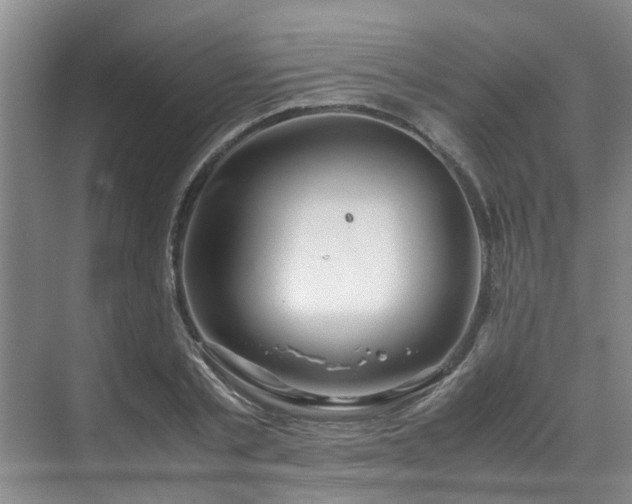 X0000071830789200606301317