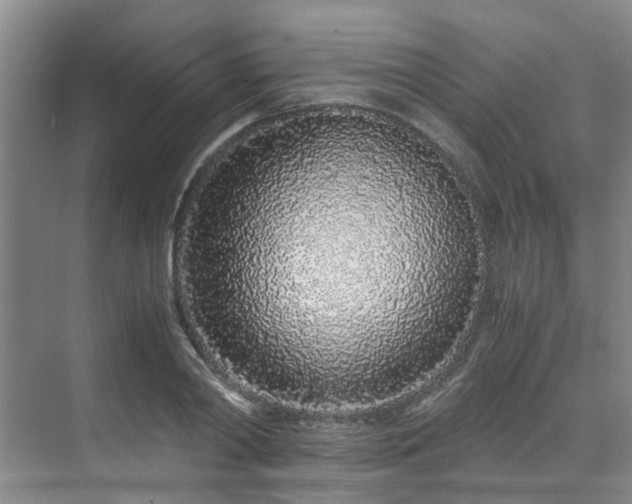 X0000071830790200606301317