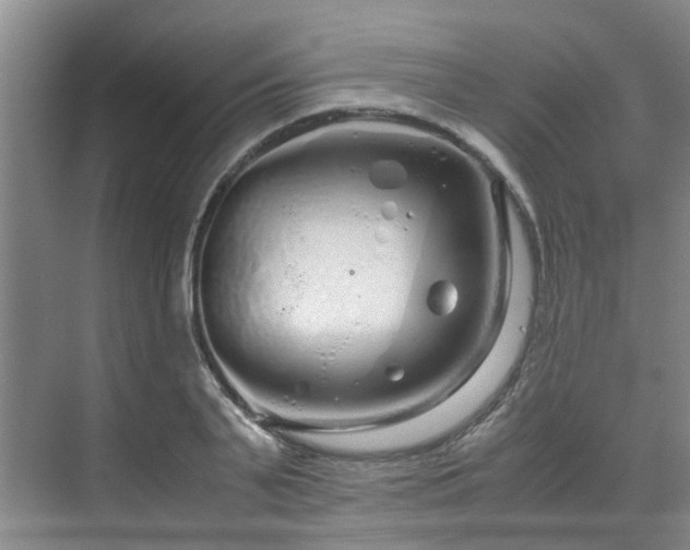 X0000071830791200606301317