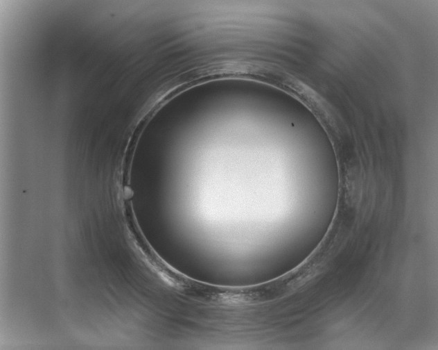 X0000071830794200606301317