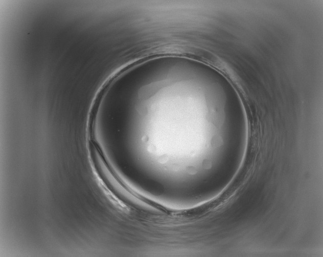 X0000071830795200606301317